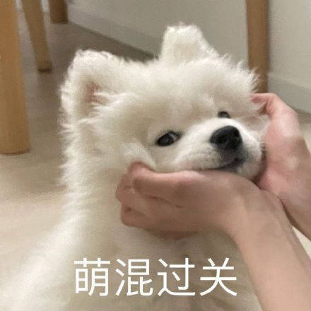 雙非大三，績點低，想去香港留學來得及嗎？怎么補救？