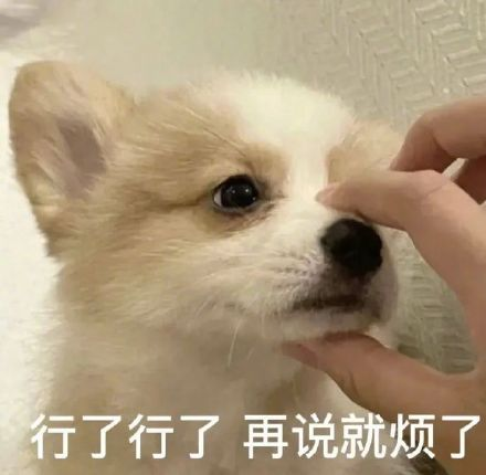 雙非大三，績點低，想去香港留學來得及嗎？怎么補救？