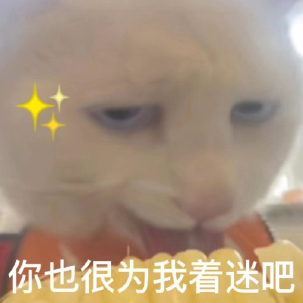 雙非大三，績點低，想去香港留學來得及嗎？怎么補救？