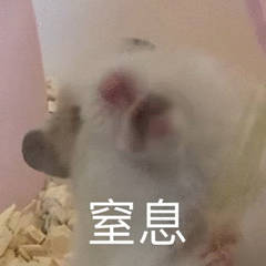 為什么不建議家境普通的學(xué)生讀商科？