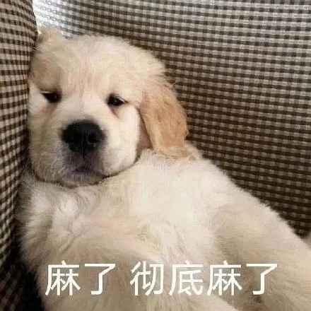留學(xué)生10大最難學(xué)專業(yè)，金融竟然是最后一名？