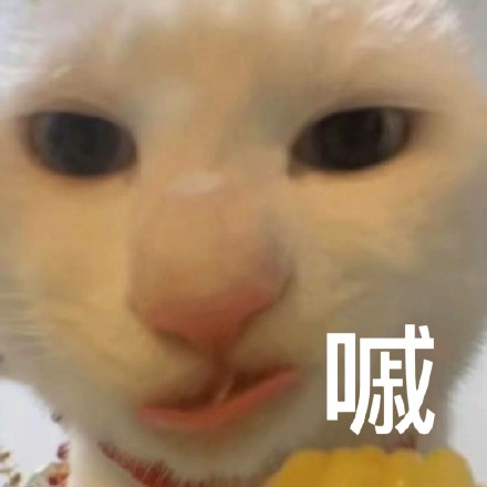 留學(xué)生10大最難學(xué)專業(yè)，金融竟然是最后一名？