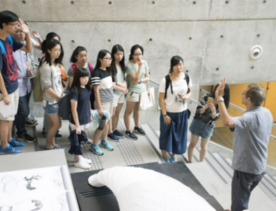 香港大學夏校申請！5月31日截止，有機會拿到港大教授推薦信！